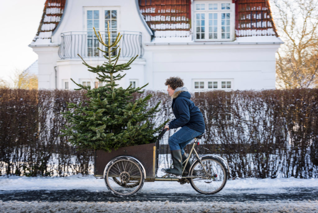 Juletre på sykkel