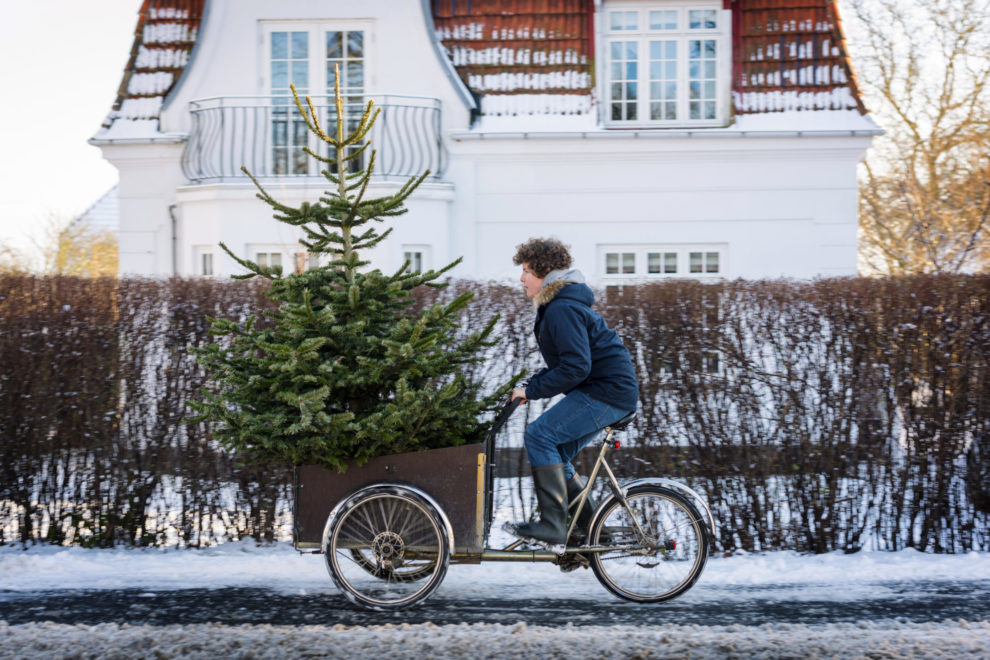 Juletre på sykkel