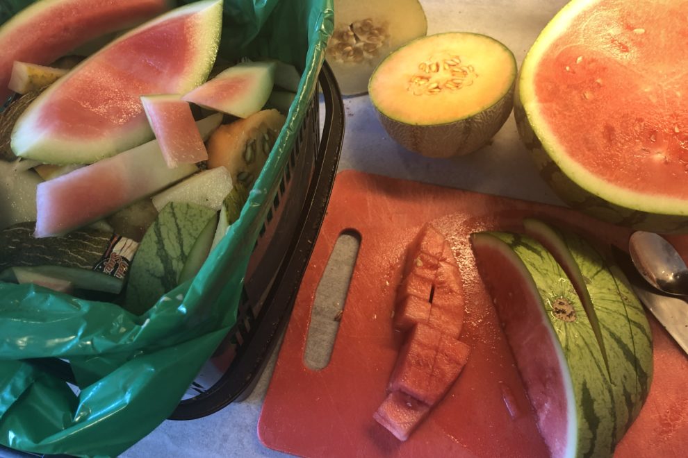 melon og matavfall
